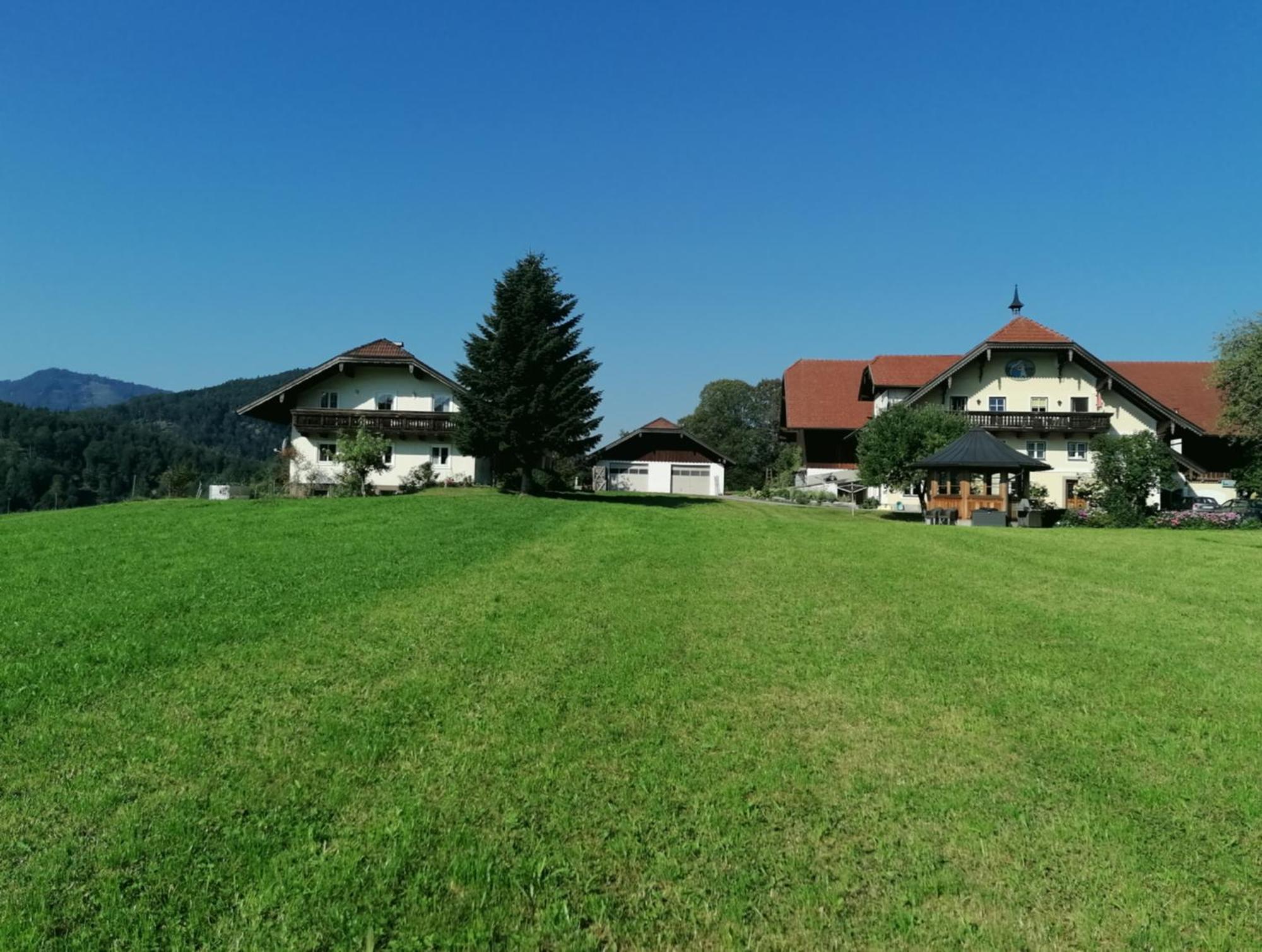 Apartmán Vordergschwandtgut Faistenau Exteriér fotografie